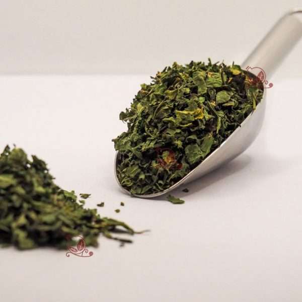 PIANTAGGINE LANCEOLATA foglie 100g