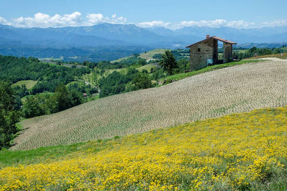 elicriso bottega delle spezie